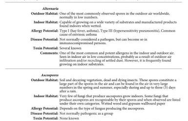 Blissful Townhouse Retreat - Foto 13