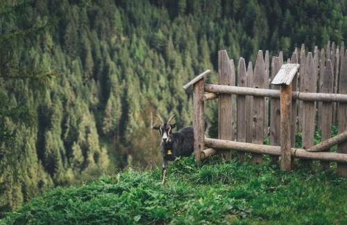 Apartments Oberpichlhof - Foto 15