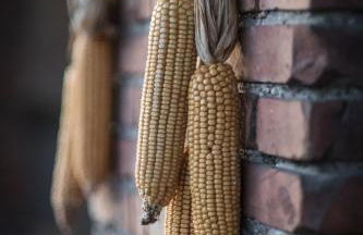 Agriturismo Beatilla - Photo 158