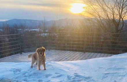 Moon Hill Retreat - Foto 40