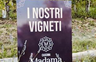 Madama Langa Country House con piscina nelle vigne - Foto 49