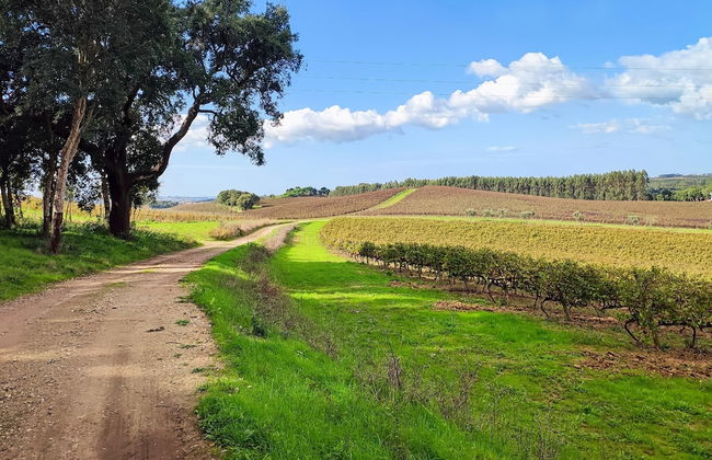 Cozy Vacation Rental in Peaceful Peral, Portugal - Photo 49