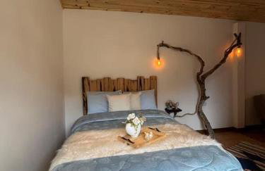 Sitio Lar da Terra - Foto 12