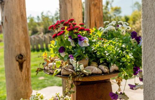 Agritur La Dolce Mela - Adults Only - Foto 57