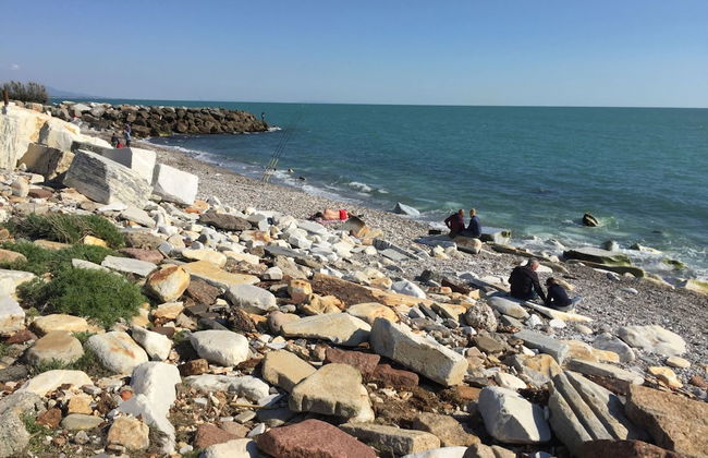 Seaside Getaway- Pet-friendly - Foto 32