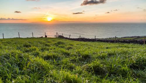 Quinta do Oeste - Photo 4