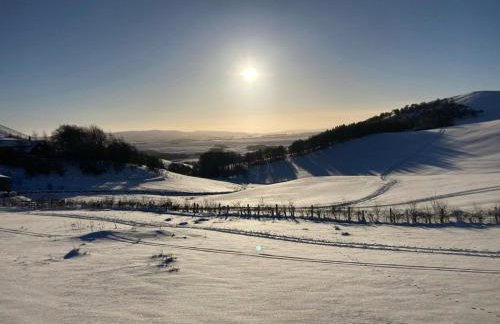 Garden Retreat - Foto 15