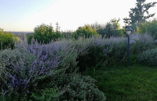 Il Poggiarello Toscano - Photo 25