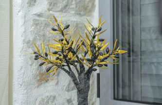 George luxury stone apartment - Foto 9