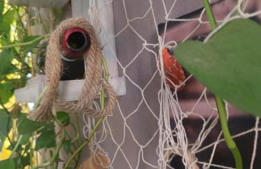 Dalla Spiaggetta a Quinto - Foto 8