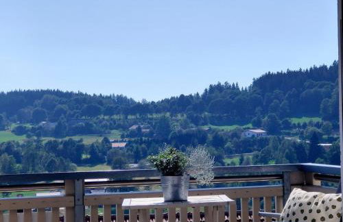 Haus Paradies Superior FEWO`S Loft, Terrasse, private Sauna, aktiv Card, Sankt Englmar - Foto 47