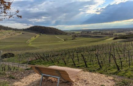 Ferienwohnung Angie - Foto 30