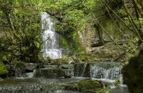 Theaked Stones - Photo 39