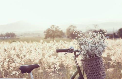 1-Raum-Wohnung mit Balkon, am Kurpark am Gradierwerk - Foto 22