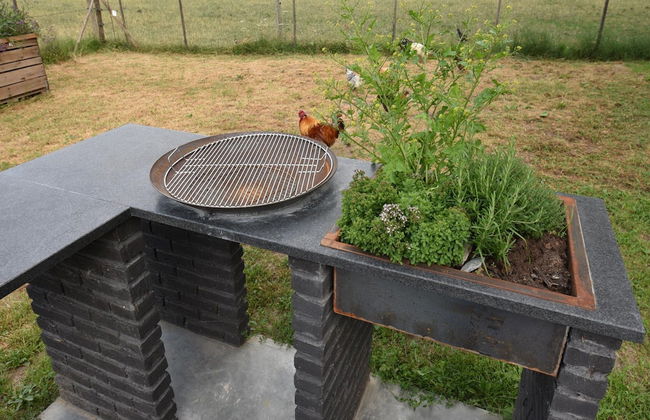 Apartment Near the Belgian Border - Photo 45