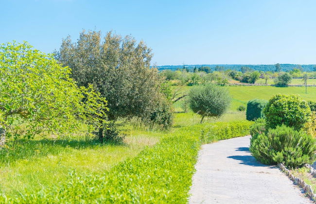 Casa Holganza in Maria de la Salut - Photo 30