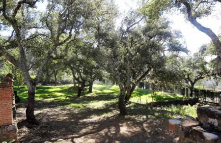 Casa Rural La Gallega - Foto 10