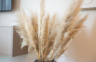 Stay Boardinghouse - Foto 15