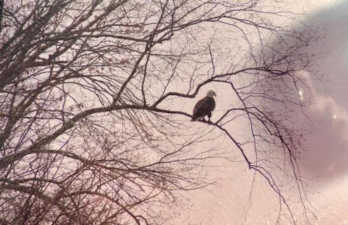 Sai Villa on Maurice River - Foto 61