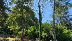 Villa with private pool, 3 bedrooms on 3000 m2 Anduze - Photo 4