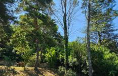 Villa with private pool, 3 bedrooms on 3000 m2 Anduze - Foto 4
