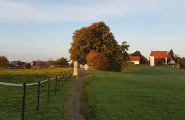 Ferienwohnung Dressler - Photo 23