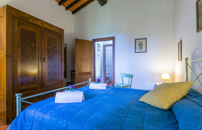 Giuggiolo - Giuggiolo 3 - Foto 15