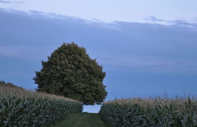 Oak Modern Retreat in Uberlingen - Foto 12