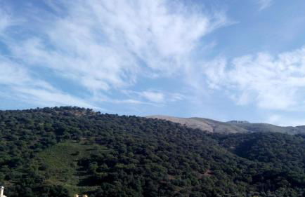 Apartamento El Serrano - Photo 22