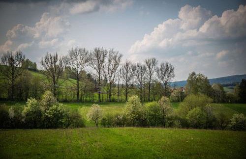 Domki w Bieszczadach Nova Dolina - Foto 13