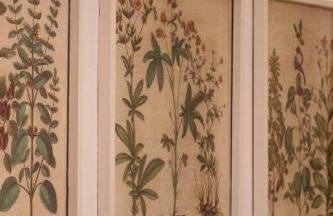 Simona Comfort e Relax tra Bologna e Firenze 8 min A1 - Foto 23