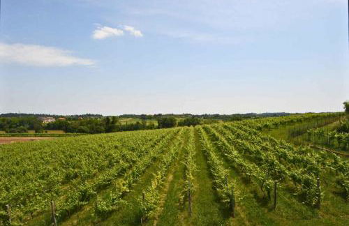 Holiday home in Castelnuovo del Garda - Gardasee 54558 - Foto 24