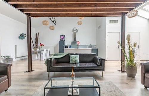 Loft & Spa LE FAUBOURG SAINT MARTIN - Foto 30