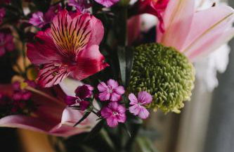 Wilderness House Apartments by Smart Welcomes - Foto 34