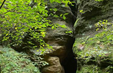 Ferienwohnungen Nimtz - Foto 23