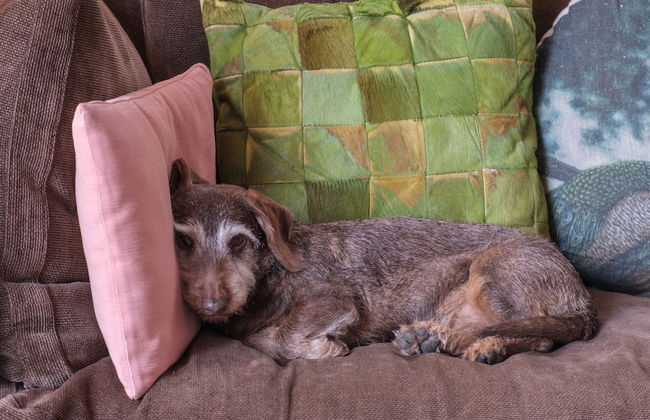 Fontelunga Hotel & Villas - Foto 32