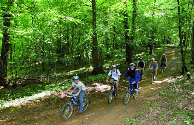 Watermill in Herbeumont With Sauna & Hot Tub - Photo 30