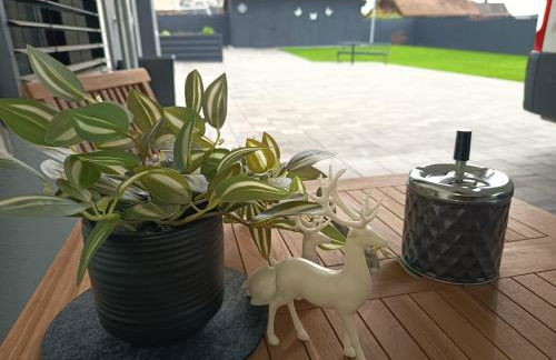 Exklusive Ferienwohnung 2 im Herzen des Spessarts - Foto 2