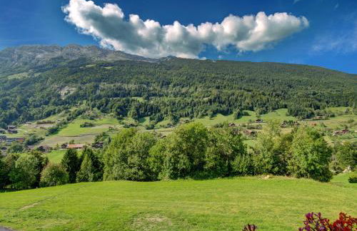 Chalets des Aravis Kitz et Buhel avec Jacuzzi 12 et 15 personnes - Foto 50