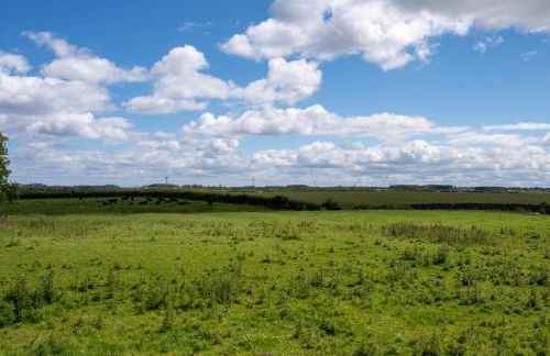 Moo House - Photo 13