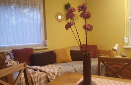 Blütenhaus im Rhododendronpark 5 min zum See - Foto 6