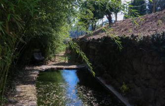 Bosque da Fantasia - Foto 23