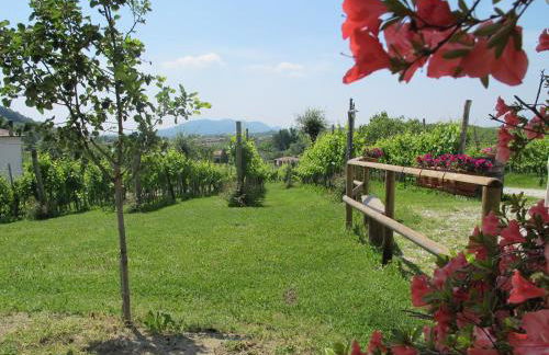 La Casa Vecchia - Foto 71