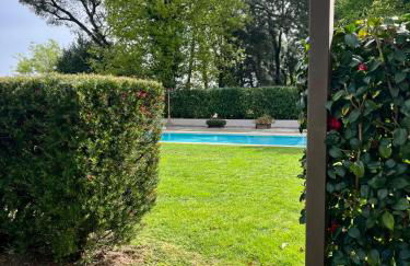 Bosque da Harmonia - Foto 8