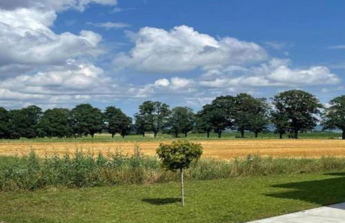 Holiday Apartment Monet in Oberrotweil - Foto 62