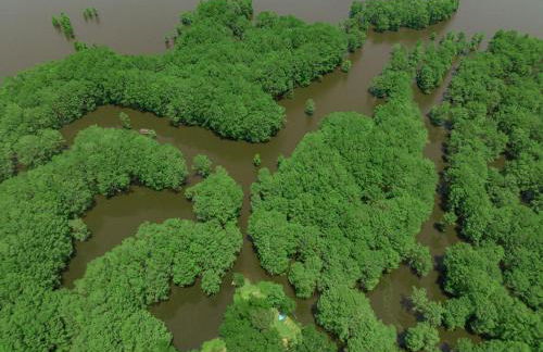Lakefront Tiny Emerald wkayaks & canoes - Foto 49