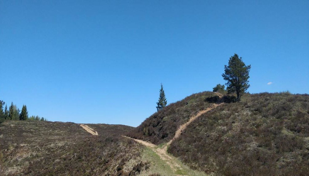 Excursión privada de día completo Go North - Foto 1