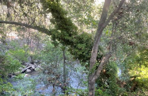 RiverFront Retreat- Spa/Hot tub, Game Room, Limited Gym - Foto 38