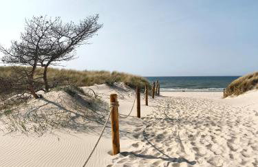 Bursztynek i Muszelka - Foto 11