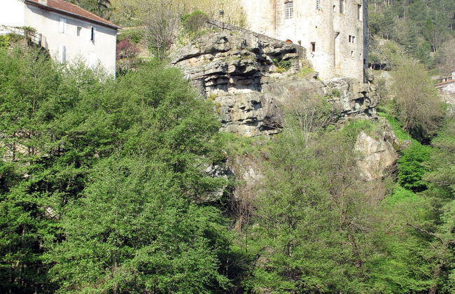 Les Lauriers Roses - Foto 29